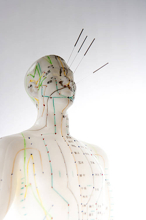 Oriental Medical(Oriental Medicine) 069