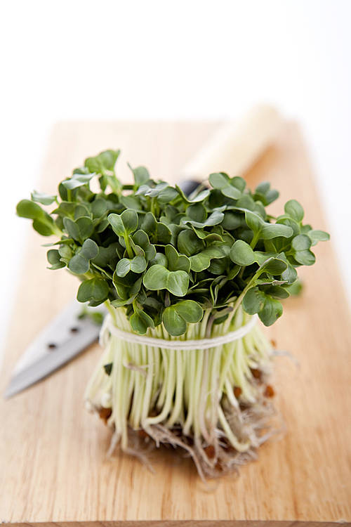 Healthy Food(Healthy food)002