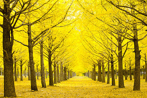 Landscape Vol.2(Scenery Vol.2)001