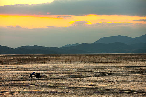 Landscape Vol.2(Scenery Vol.2)005