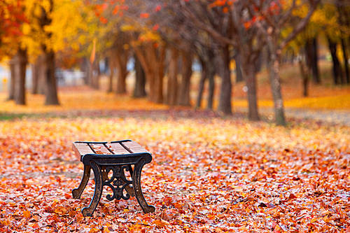 Landscape Vol.2(Scenery Vol.2)006