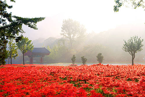 Landscape Vol.2(Scenery Vol.2)021