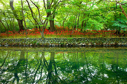 Landscape Vol.2(Scenery Vol.2)031