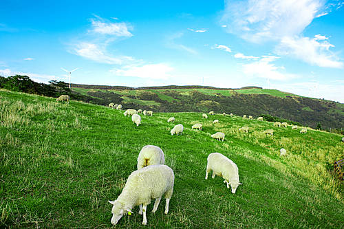 Landscape Vol.2(Scenery Vol.2)044