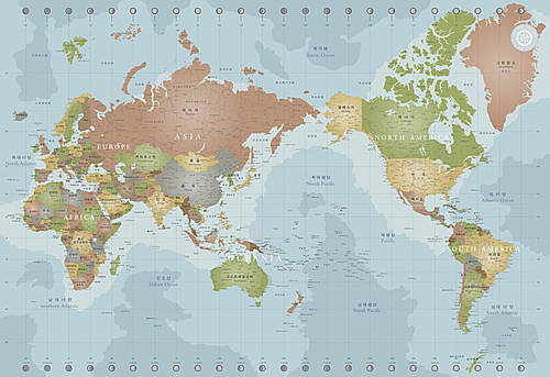 [ILL113] Detail World Map