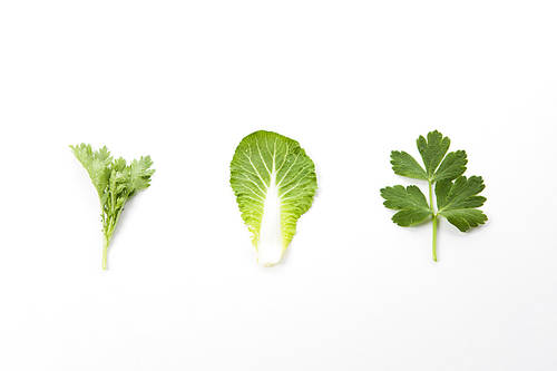 Spring herbs 197