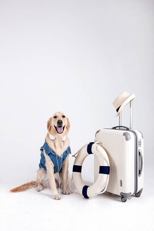 Pets and me 014