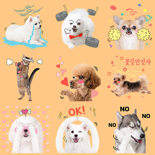 Pet Emoji005