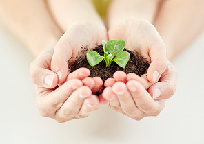 people, charity, family and ecology concept-close up of child and parent cupped hands holding soil with green sprout at home