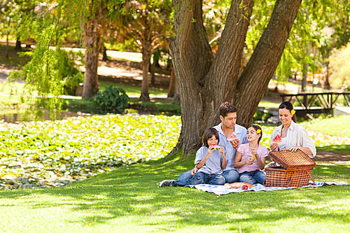 Cute family picnicking in the park