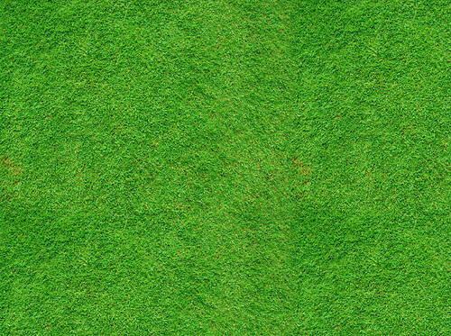 [Photo] Background texture - grass