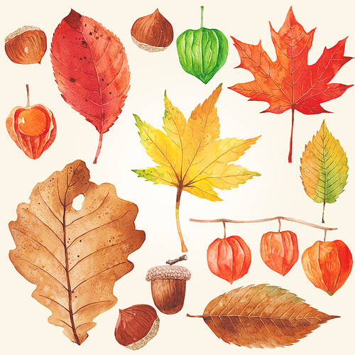 [Illustration] Autumn plant watercolor 08