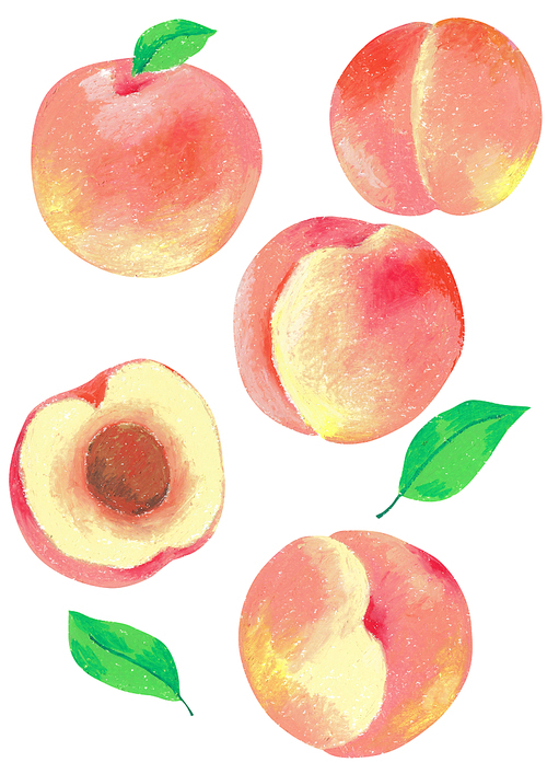 Oil pastel illustration - peach