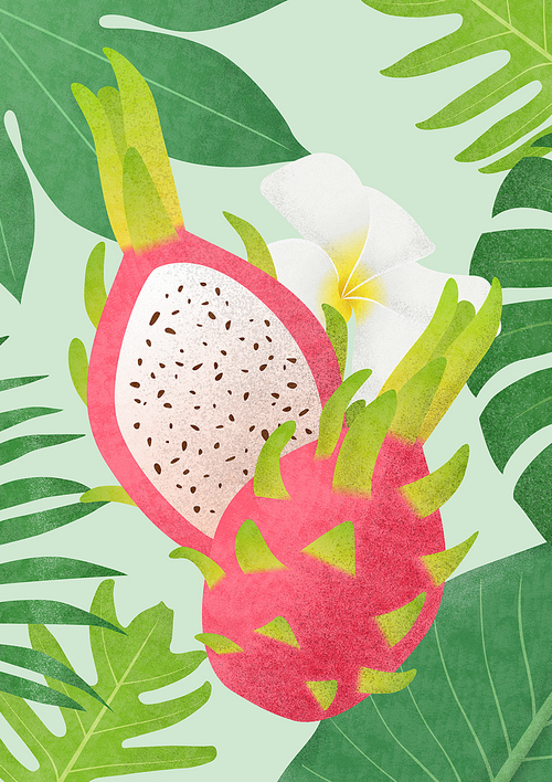 Tropical fruit illustration 06