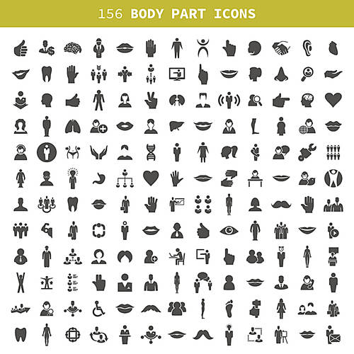 Collection of icons of a part of a body the person. A vector illustration