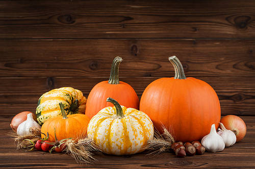 Autumn harvest still life with pumpkins, wheat ears, hazelnuts, garlic, onion and rosehip berries on wooden background
