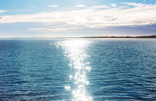 Sea landscapes in sunny day