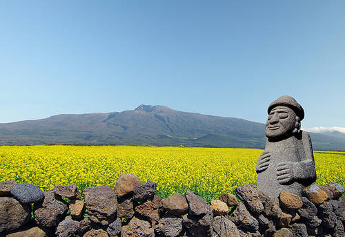 Jeju spring scenery