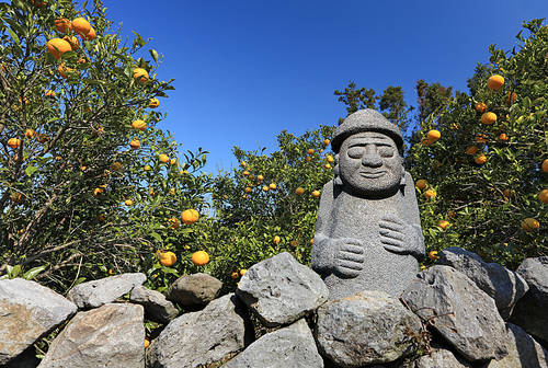 Dolhareubang and the tangerine field