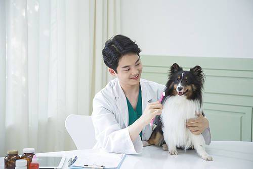 veterinarian 026