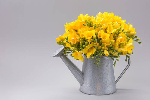 Flower 246