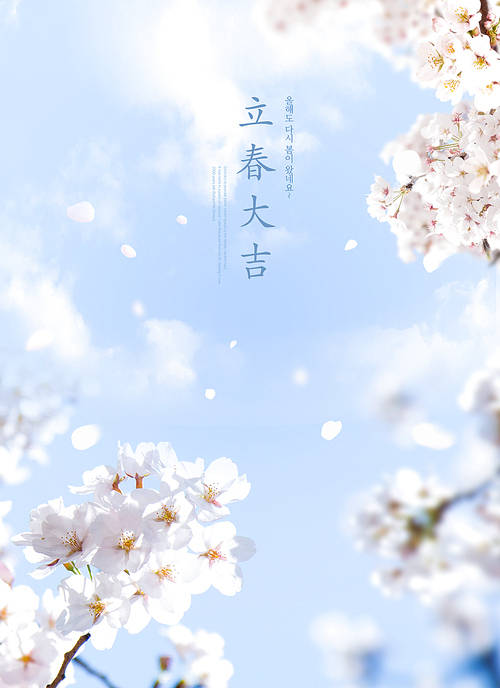spring 003