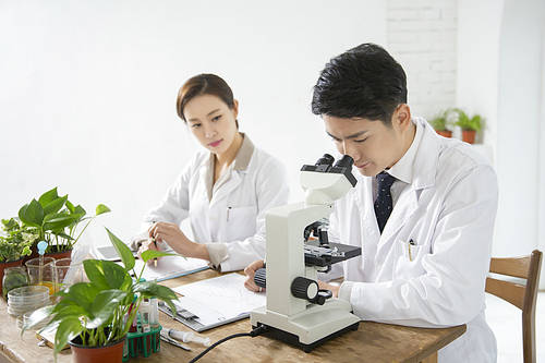 researcher 146