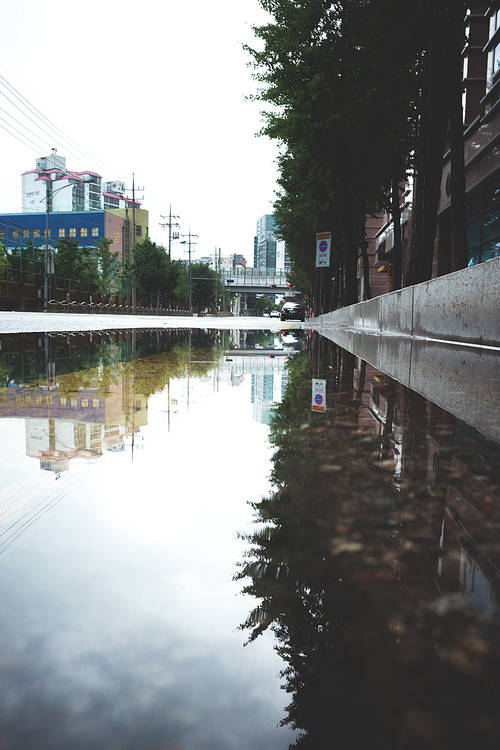 The rainy season 130