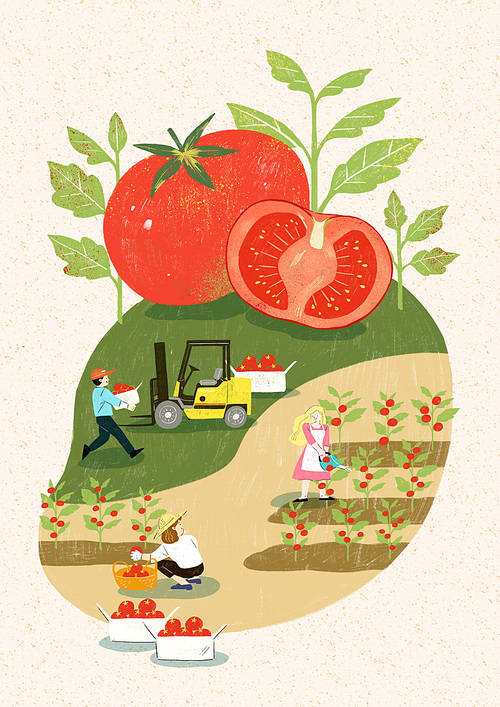 harvesting 012