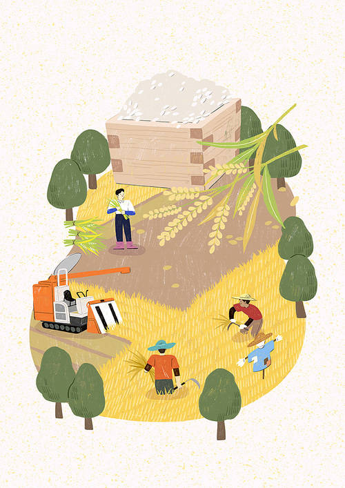 harvesting 013
