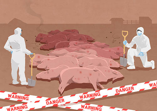 Livestock diseases and killing 001