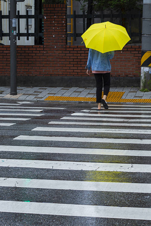 Rainy season 075