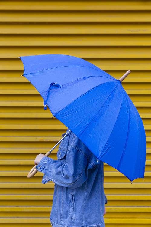 Rainy season 134