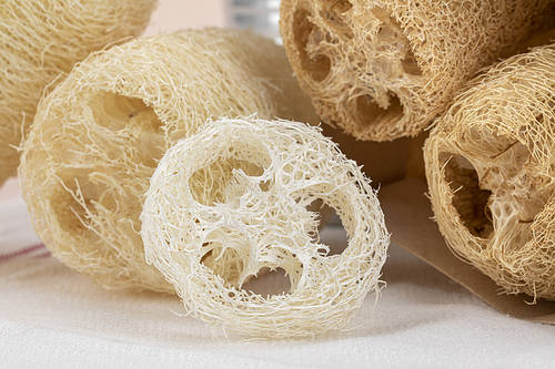 Zero waste - close-up of a cross section of natural loofah on a linen cloth
