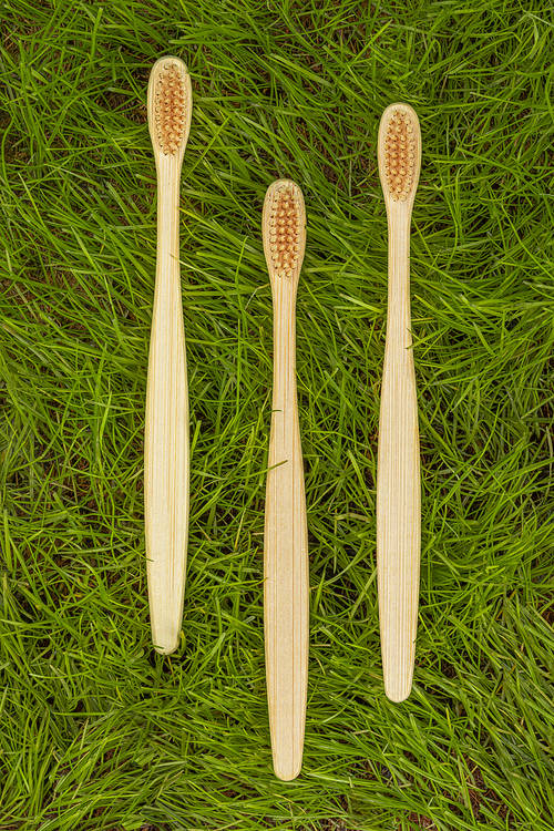 Zero waste-top of eco-friendly bamboo toothbrush on the grass