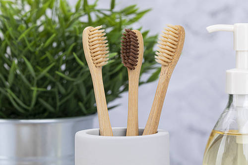 Zero Waste - Bamboo toothbrush and body oil in a gypsum toothbrush holder, close-up of a flowerpot