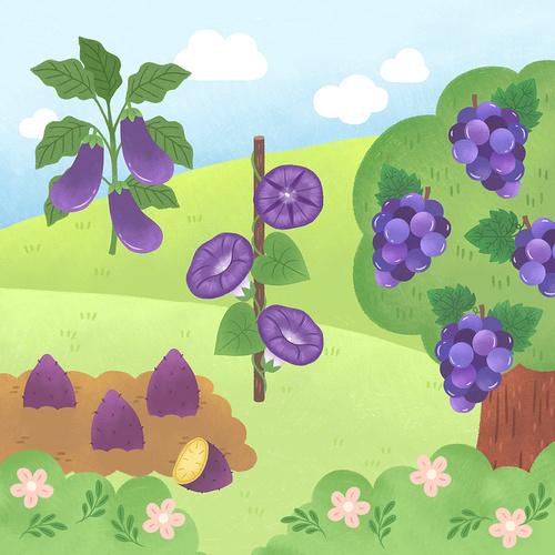Children's Color Education Illustration with Purple Objects