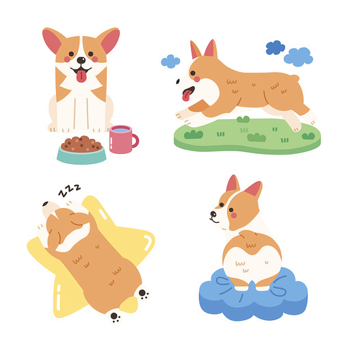 Dog Welsh Corgi Type Various Action Daily Vector Illustration