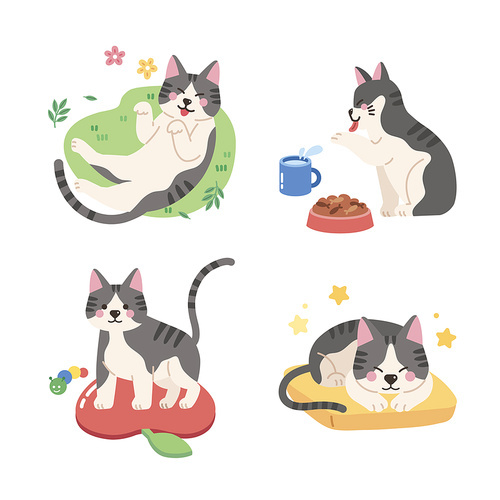 Cat various actions daily vector illustration