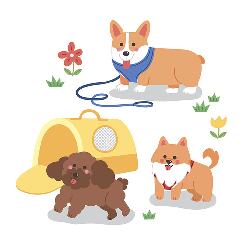 Vector illustrations of various types of dogs and cats walking