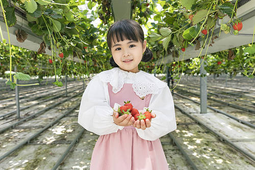 Fresh and sweet Strawberry Farm - Joyful children holding ripe strawberries in their hands and smiling at the strawberry farm