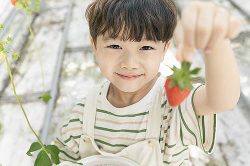 Fresh and sweet strawberry farm - Happy children holding ripe strawberries and smiling at strawberry farm