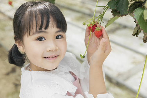 Sweet and sour Strawberry Farm - Joyful children showing ripe strawberries at the strawberry farm and smiling