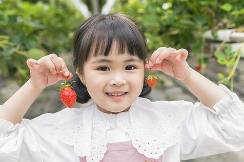 Fresh and Sweet Strawberry Farm - Exciting children holding ripe strawberries and posing cutely at the strawberry farm