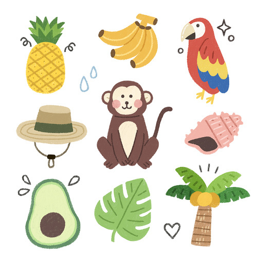 fruit bird animal object vector illustration
