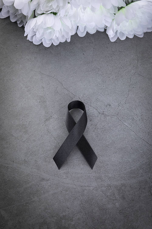 Ribbon - white chrysanthemum and black ribbon lying on a dark background