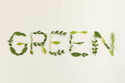 Flowers and plants - GREEN lettering with leaves