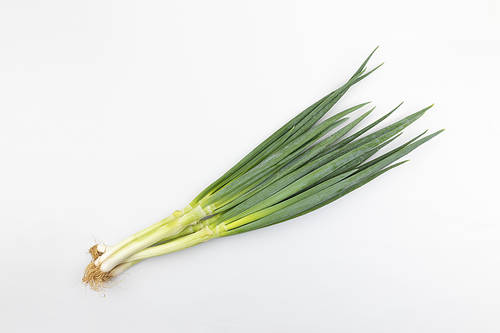 Green onion - Soil Green onion bunch Nuqui image