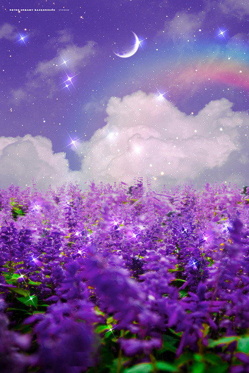 Bora Light Lavender Field and Sky