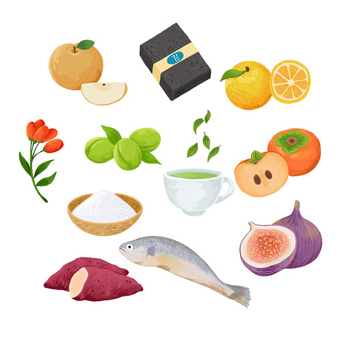 South Korea region Jeollanam-do special product object illustration image
